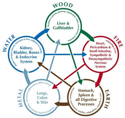 5 elements wanderlee