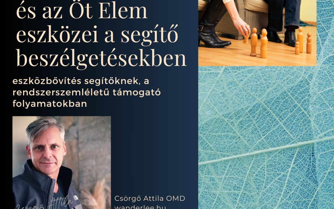 Holisztikus támogatás, NLP és Mediáció