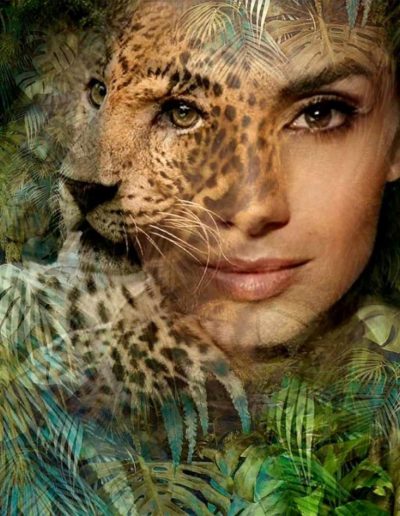 brandart sylvia varga