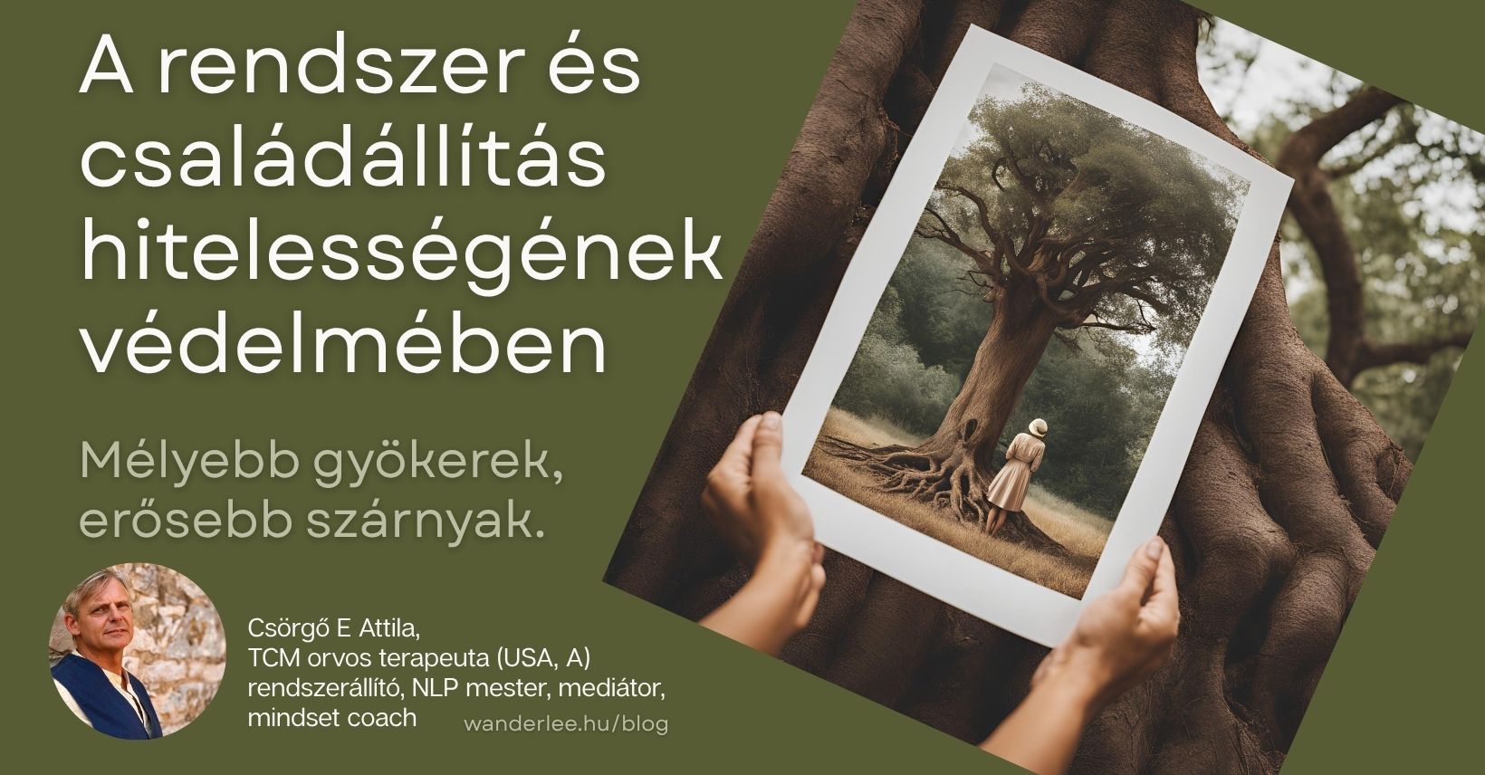család családállítás állítás hellinger
